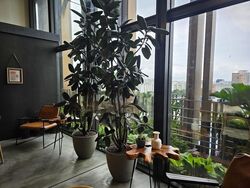 Pacific Building (D14), Factory #478684031